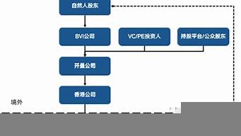 紅籌架構和vie區(qū)別（什么是vie架構股權）