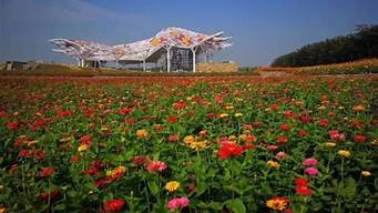 宿遷花海景觀設計理念（宿遷的花海）